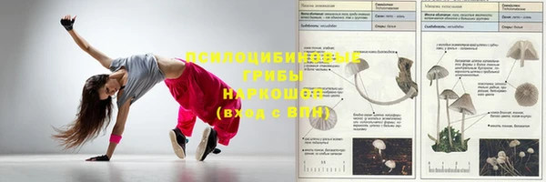 индика Армянск