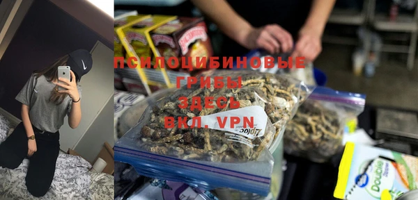 индика Армянск
