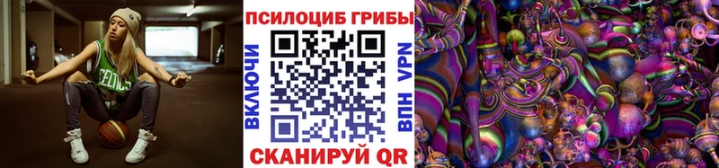 где продают Пересвет Псилоцибиновые грибы мухоморы