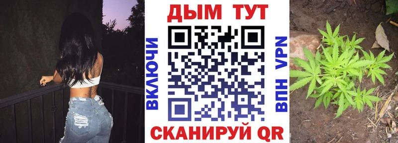 Шишки марихуана Amnesia  Пересвет 